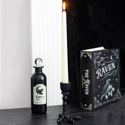 Decorative bottle, candle, and book titled 'The Raven' on a dark surface with a white background.