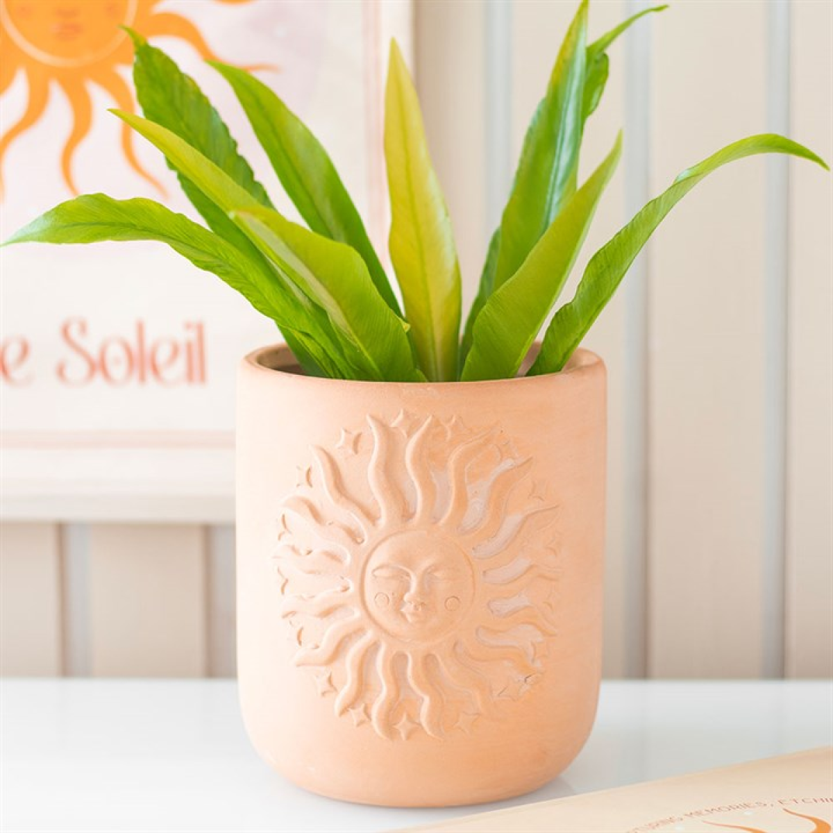 Terracotta-colored pot with sun design containing a green plant, placed on a white surface.